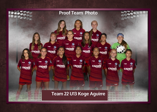 Slammers Team and Individual Status  