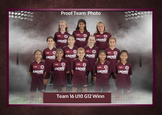 Slammers Team and Individual Status  