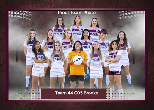Slammers Team and Individual Status  