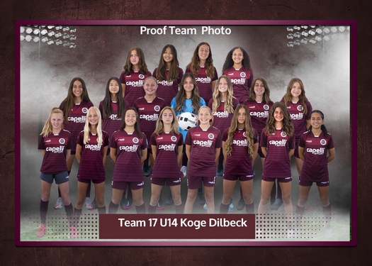 Slammers Team and Individual Status  